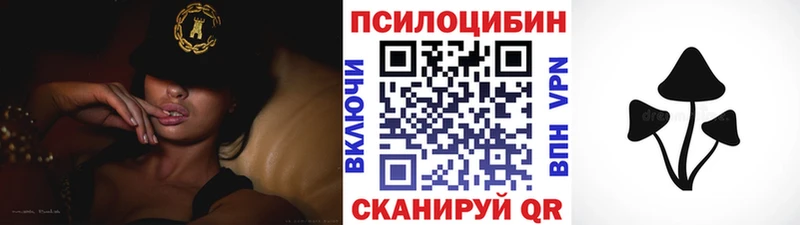 Галлюциногенные грибы MAGIC MUSHROOMS  где продают наркотики  Чухлома 
